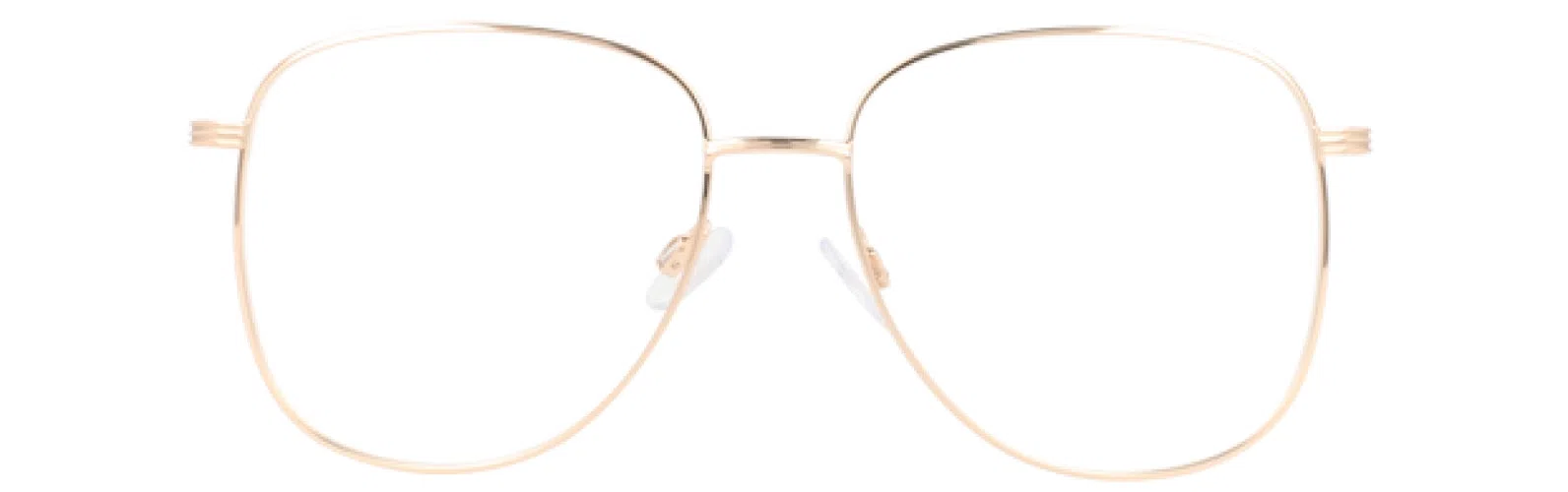 Leon Max LM4089 Eyeglasses - view 4